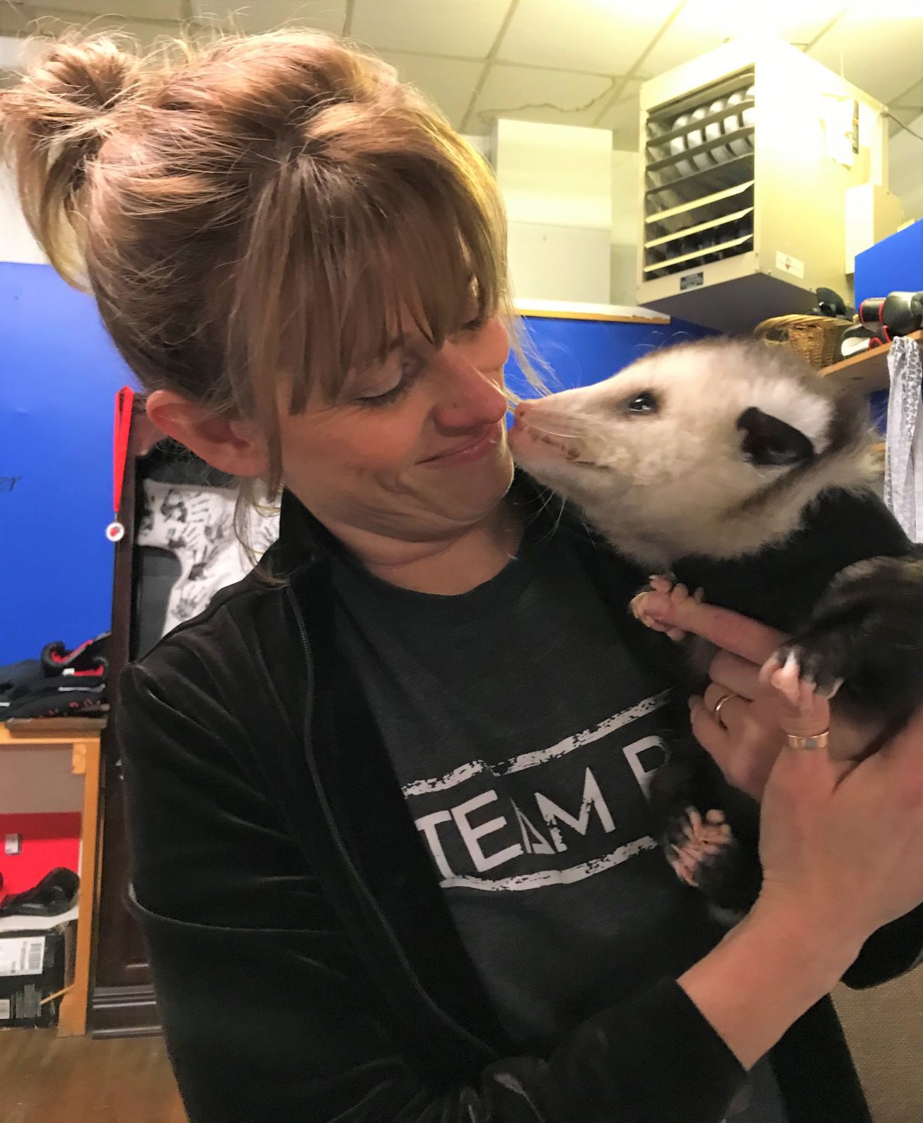 Podrick the Possum, local Instagram star